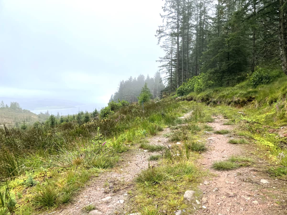 Walking Path Land Management